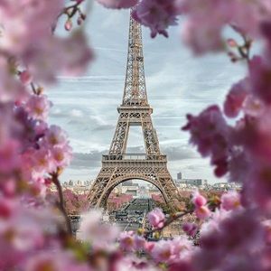 Meet your Posher, Maritza